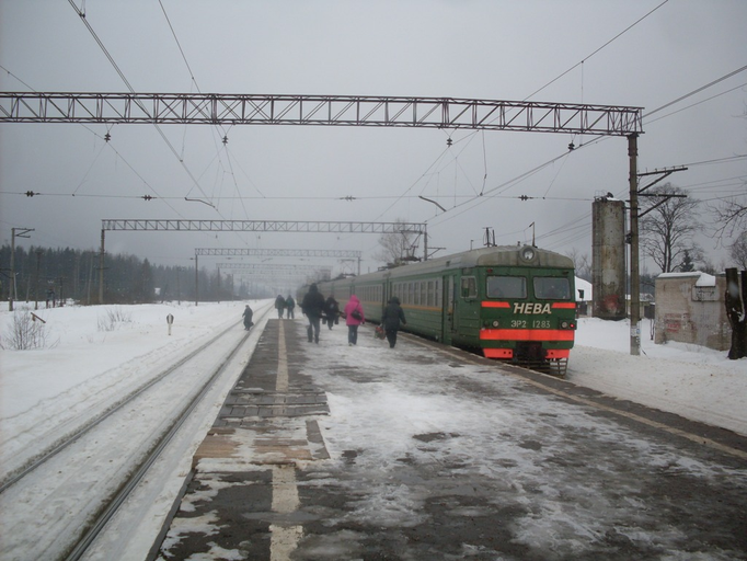 Дивенская)